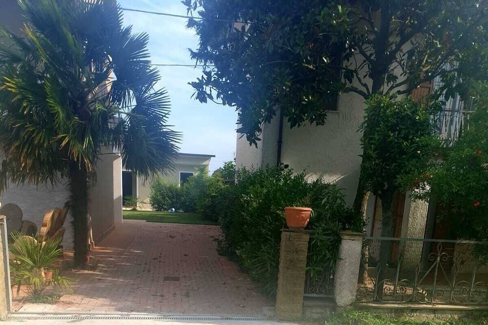 Photo of Outdoor in Savio