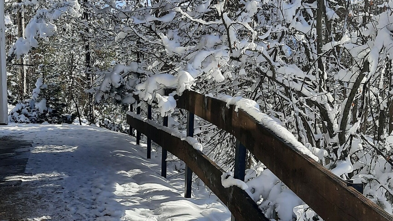 Photo of Outdoor in Borca di Cadore