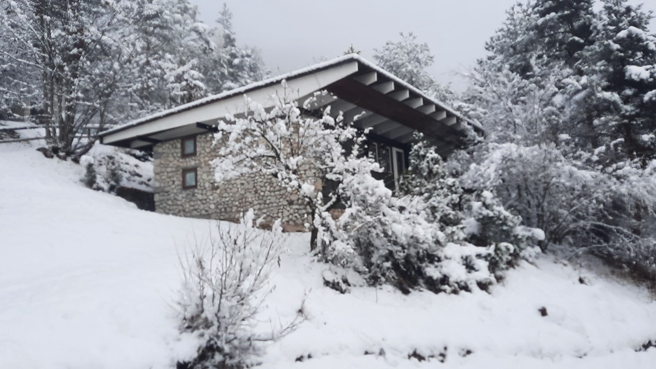 Photo of Outdoor in Borca di Cadore