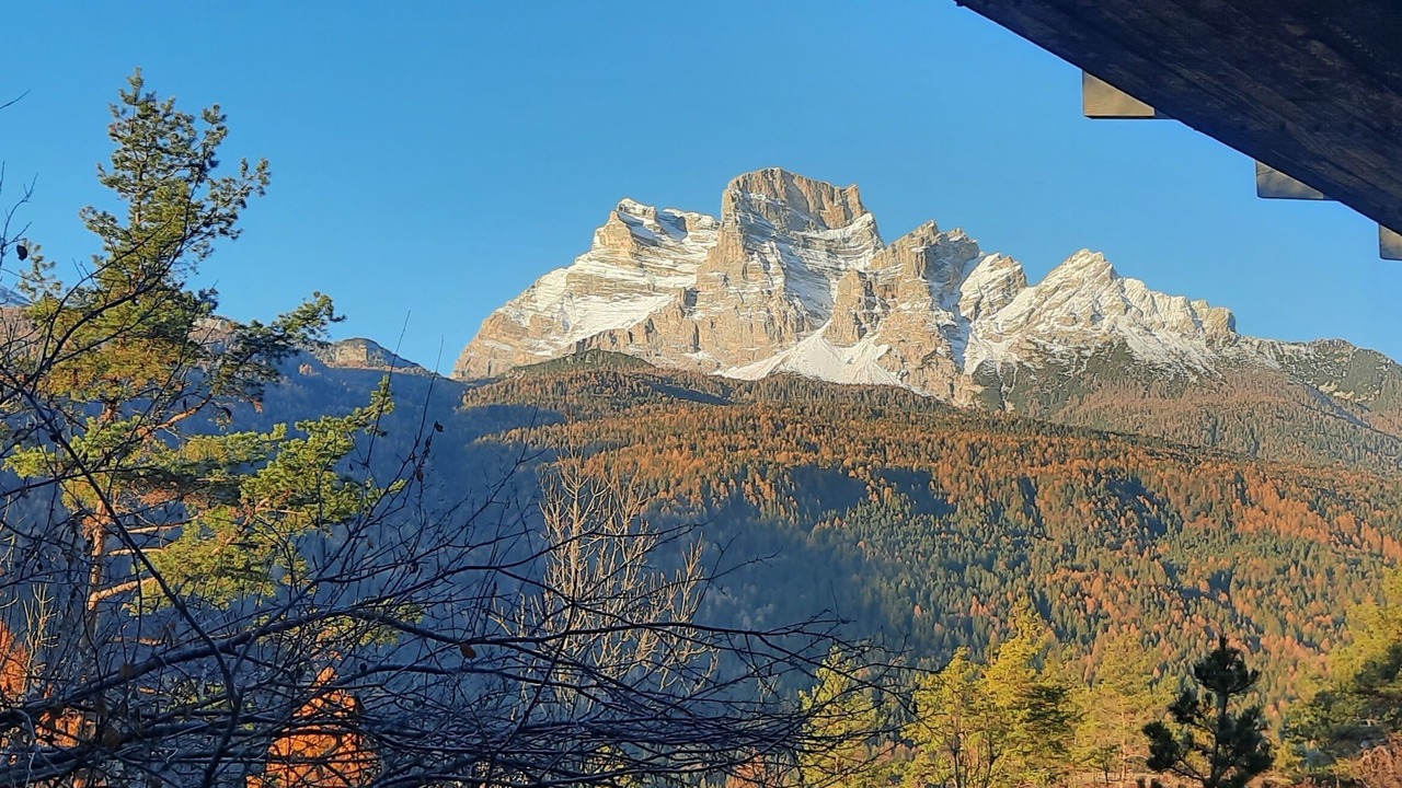 Photo of Outdoor in Borca di Cadore