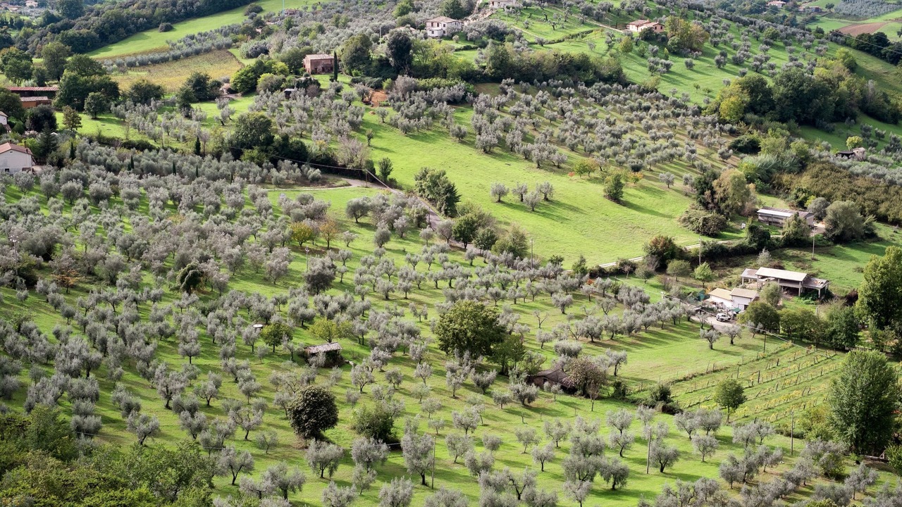 Photo of Others in Casperia