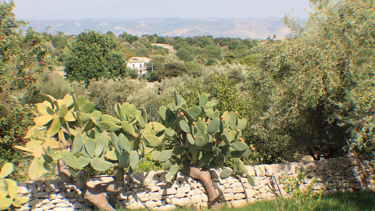 Photo of Outdoor in Casa Papa