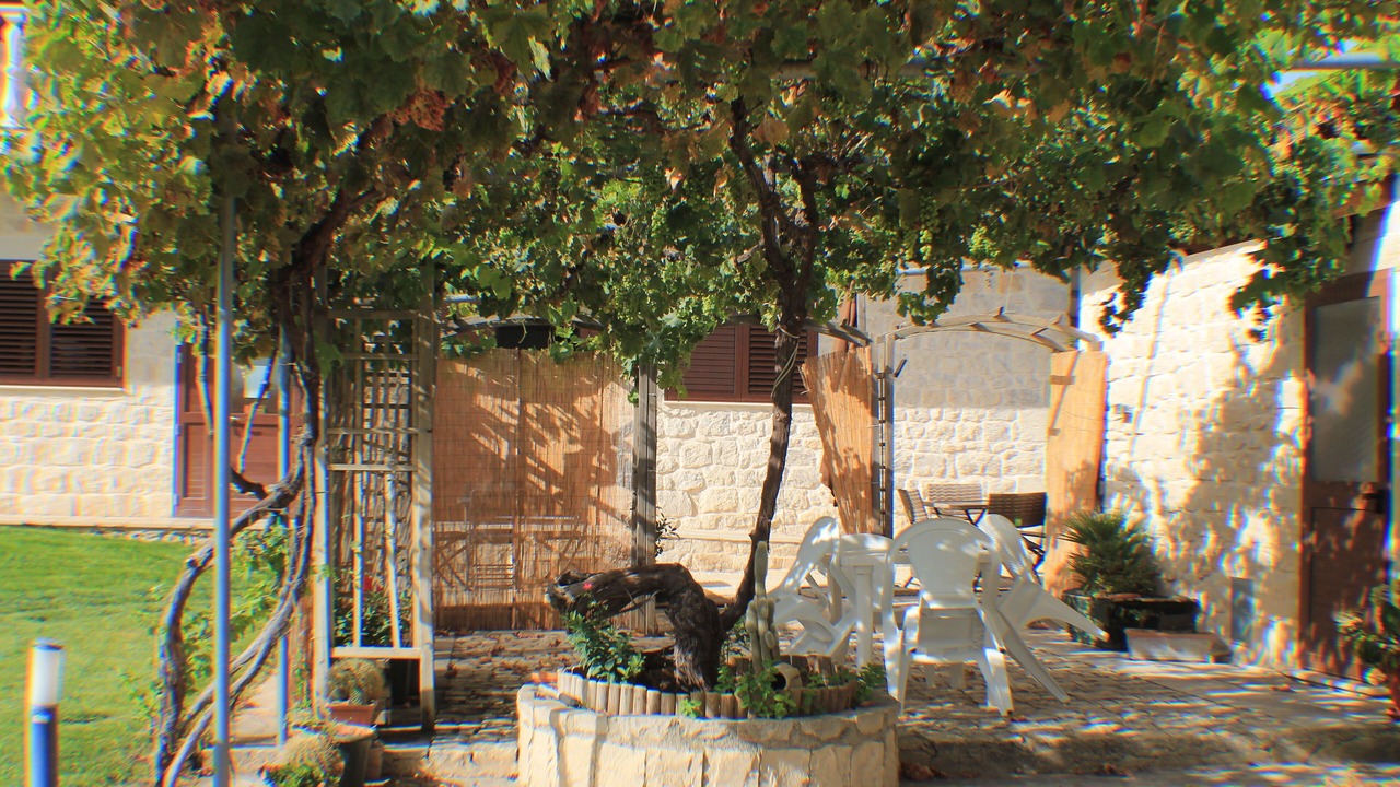 Photo of Outdoor in Casa Papa
