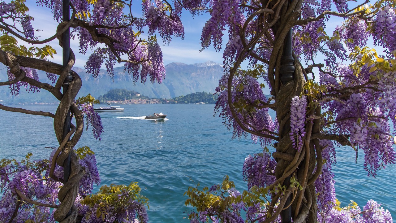 Photo of Outdoor in Acquaseria