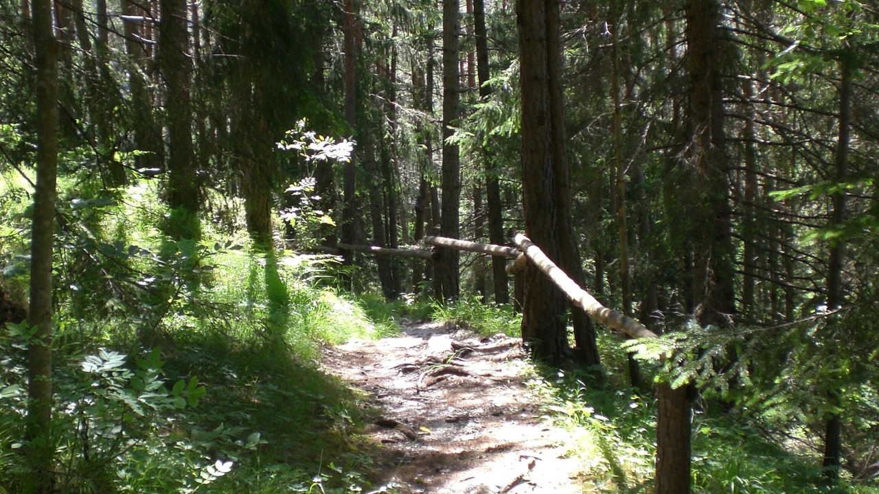 Photo of Outdoor in Borca di Cadore