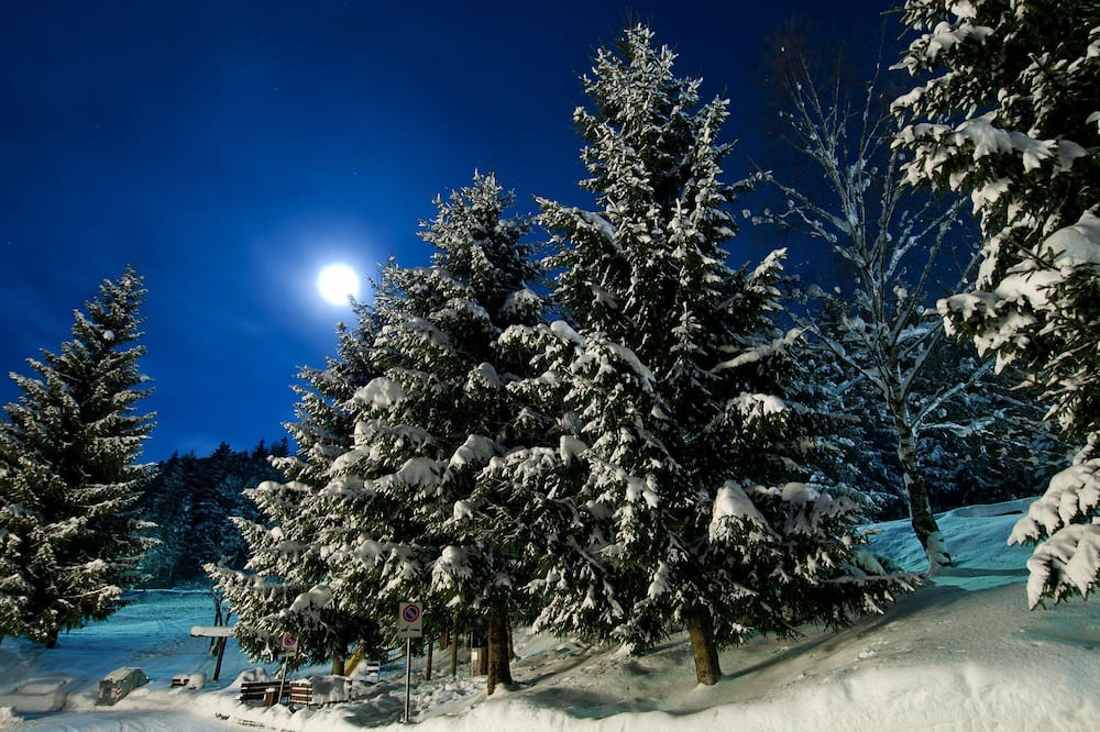 Photo of Outdoor in Darfo Boario Terme