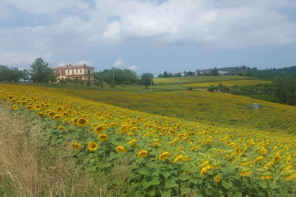 Photo of Outdoor in Moncalvo