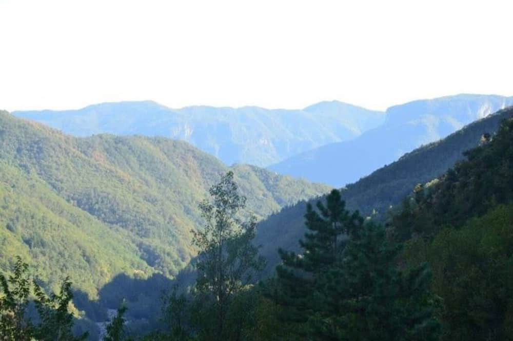 Photo of Others in Barga