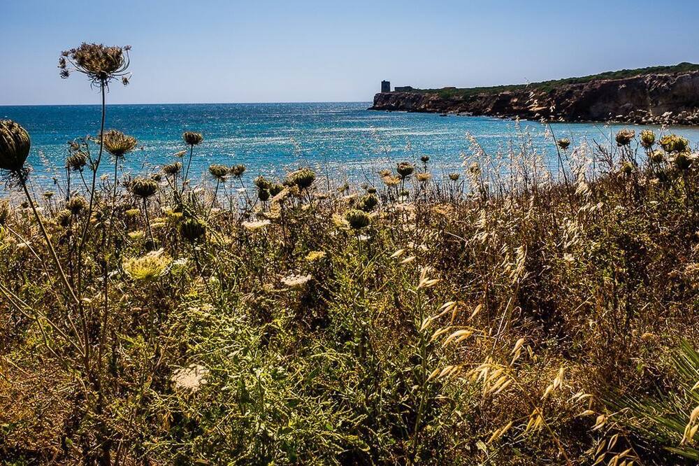 Photo of Outdoor in Funtana Meiga