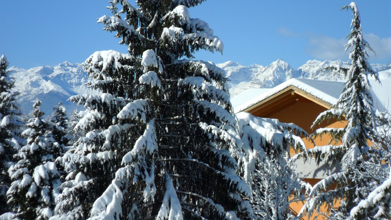 Photo of Outdoor in Ronzone