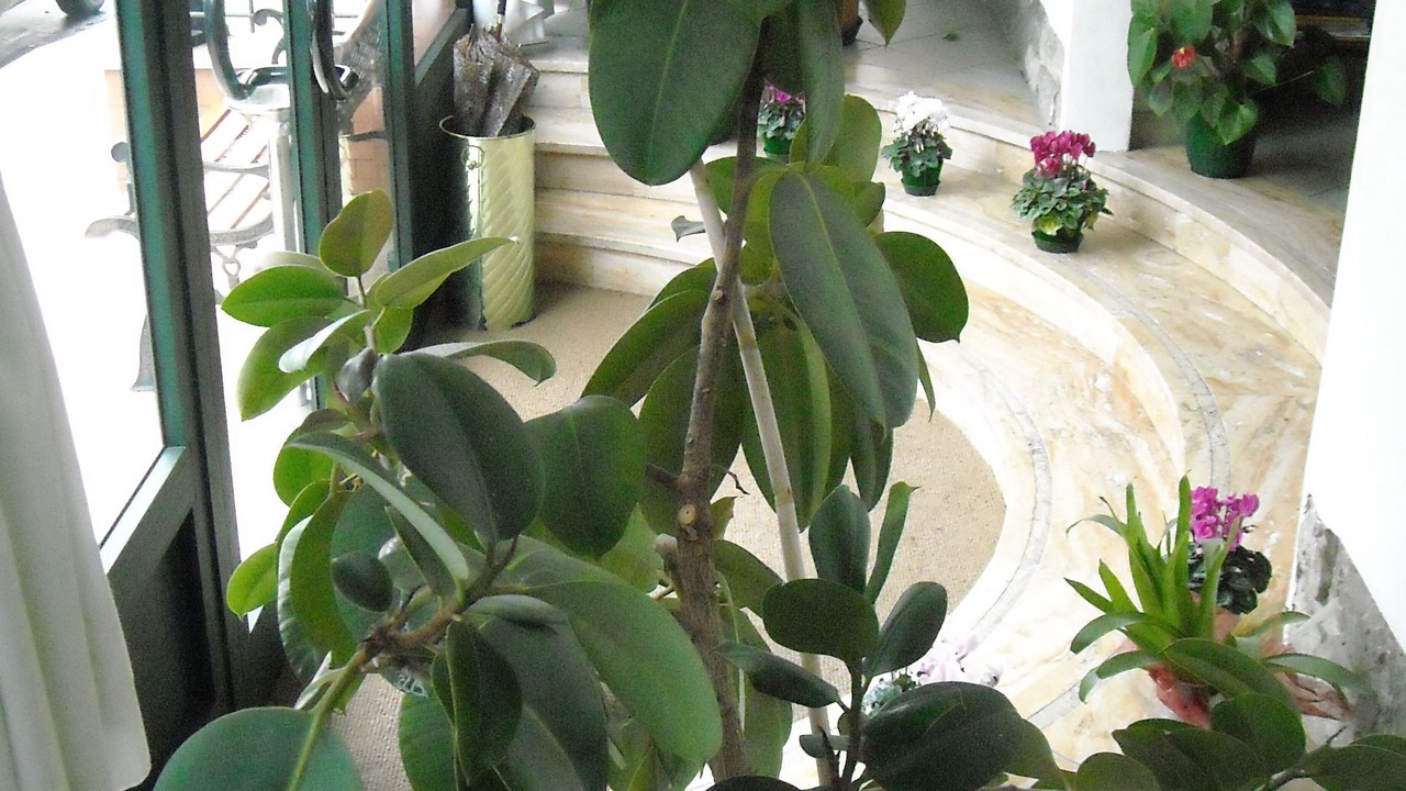 Photo of Others in Badia al Pino