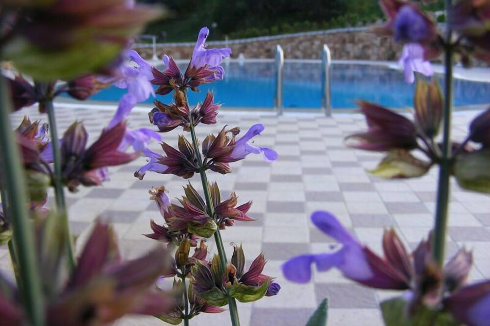 Photo of Outdoor in Posada