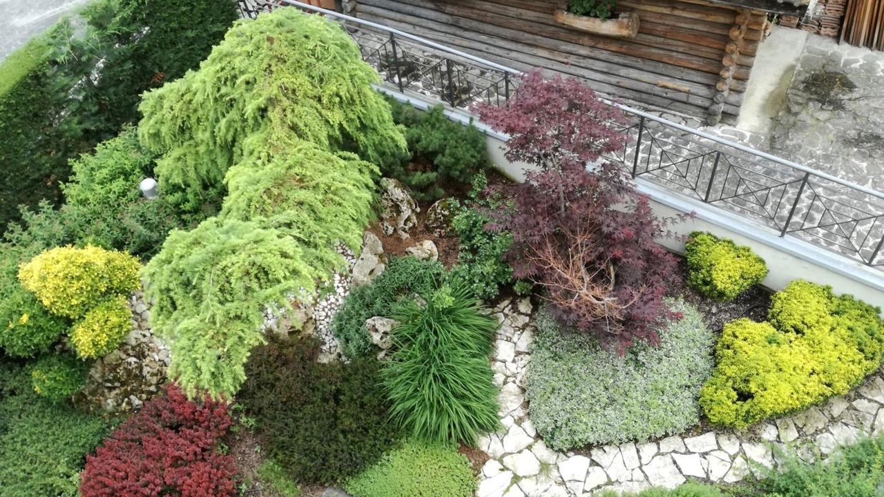 Photo of Outdoor in Dimaro