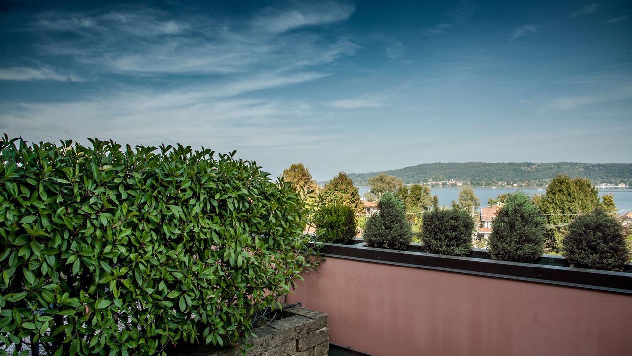 Photo of Others in Dormelletto