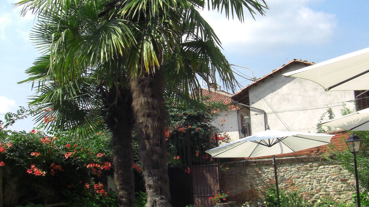 Photo of Outdoor in Aramengo