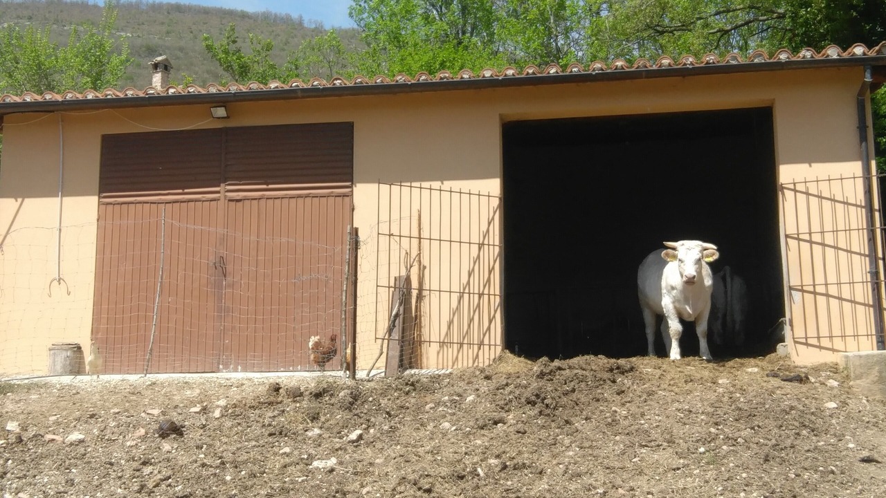 Photo of Outdoor in Vallo di Nera