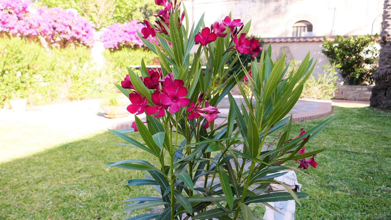 Photo of Outdoor in Marina di Patti
