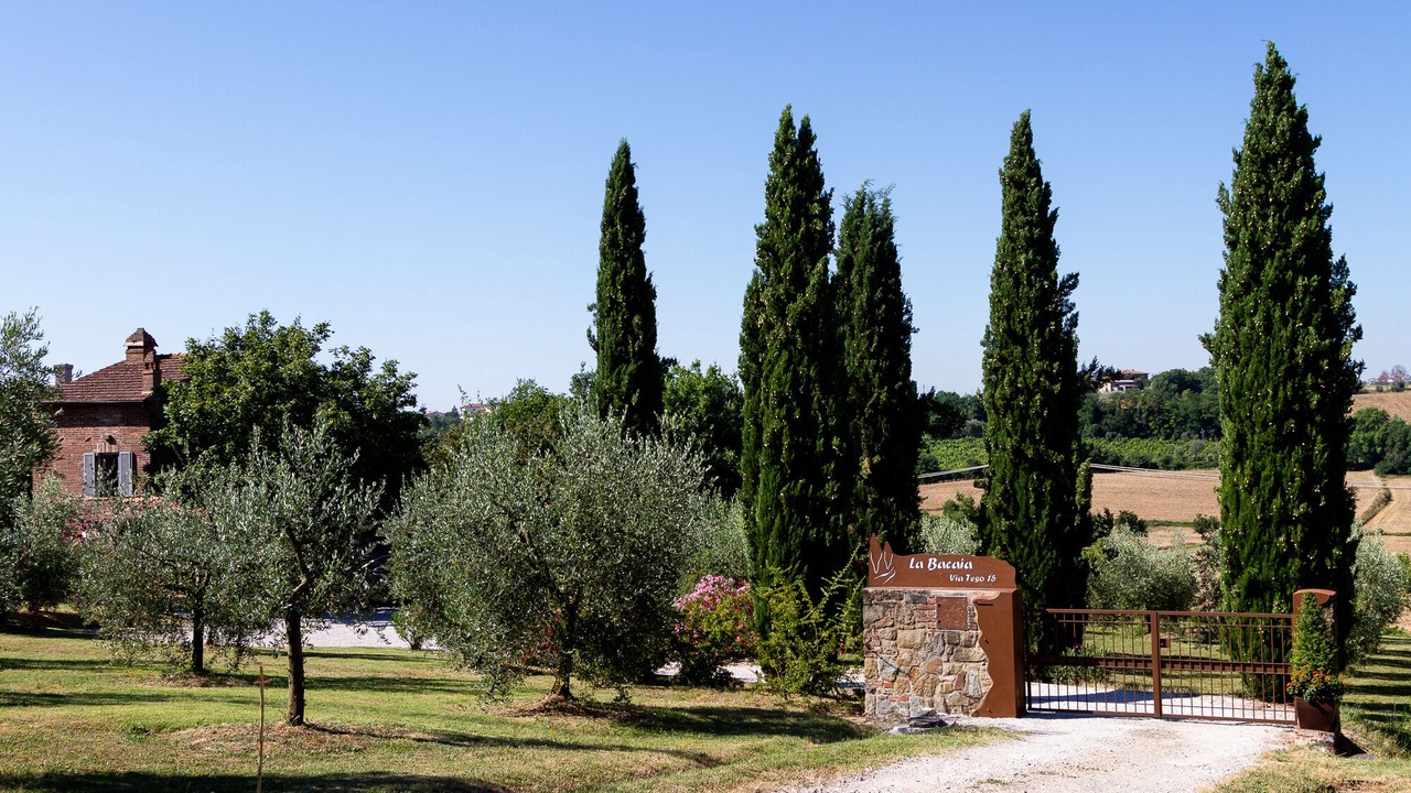 Photo of Outdoor in Marciano della Chiana