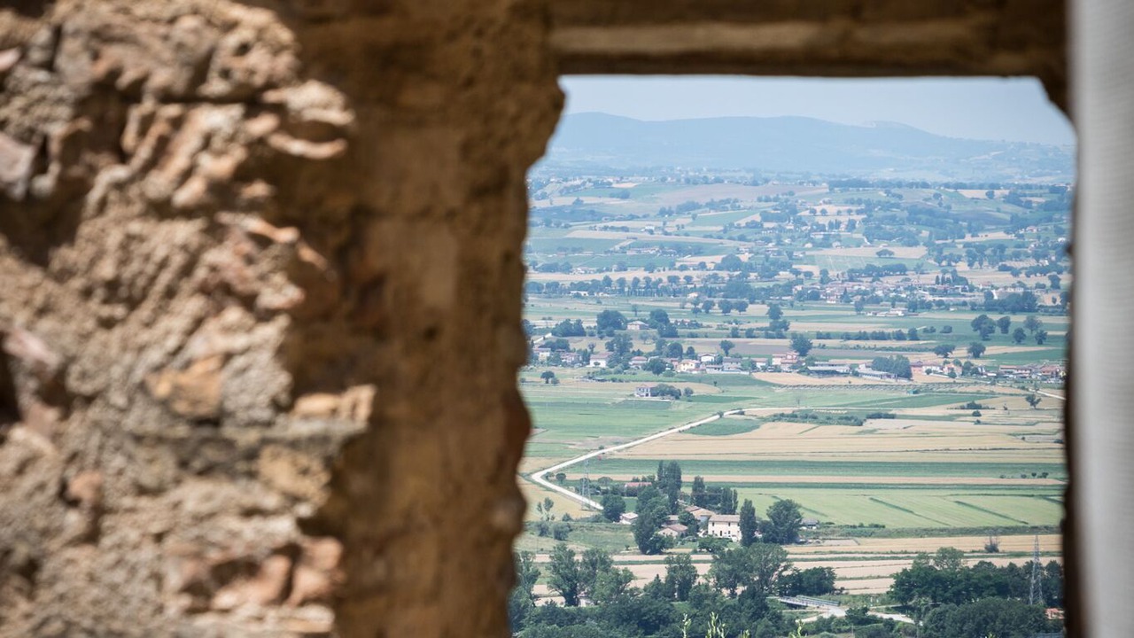 Photo of Others in Bovara