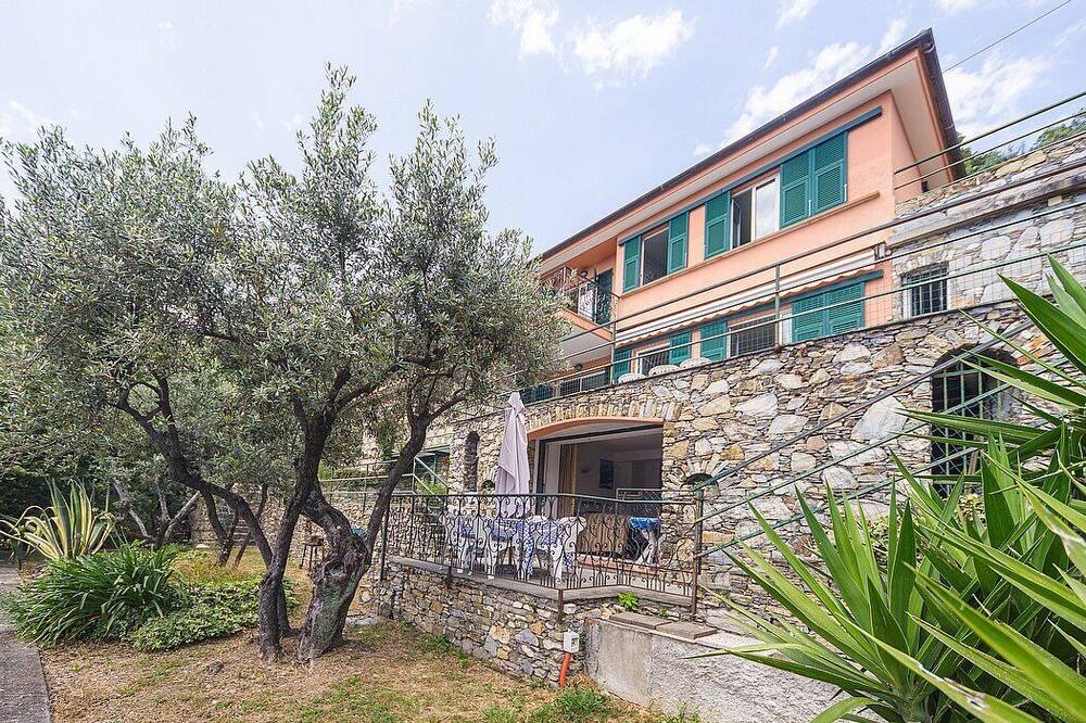 Photo of Outdoor in Recco