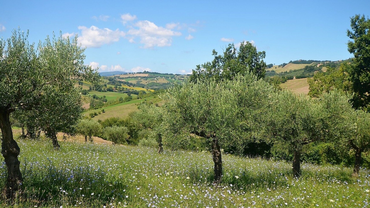 Photo of Outdoor in Colmurano