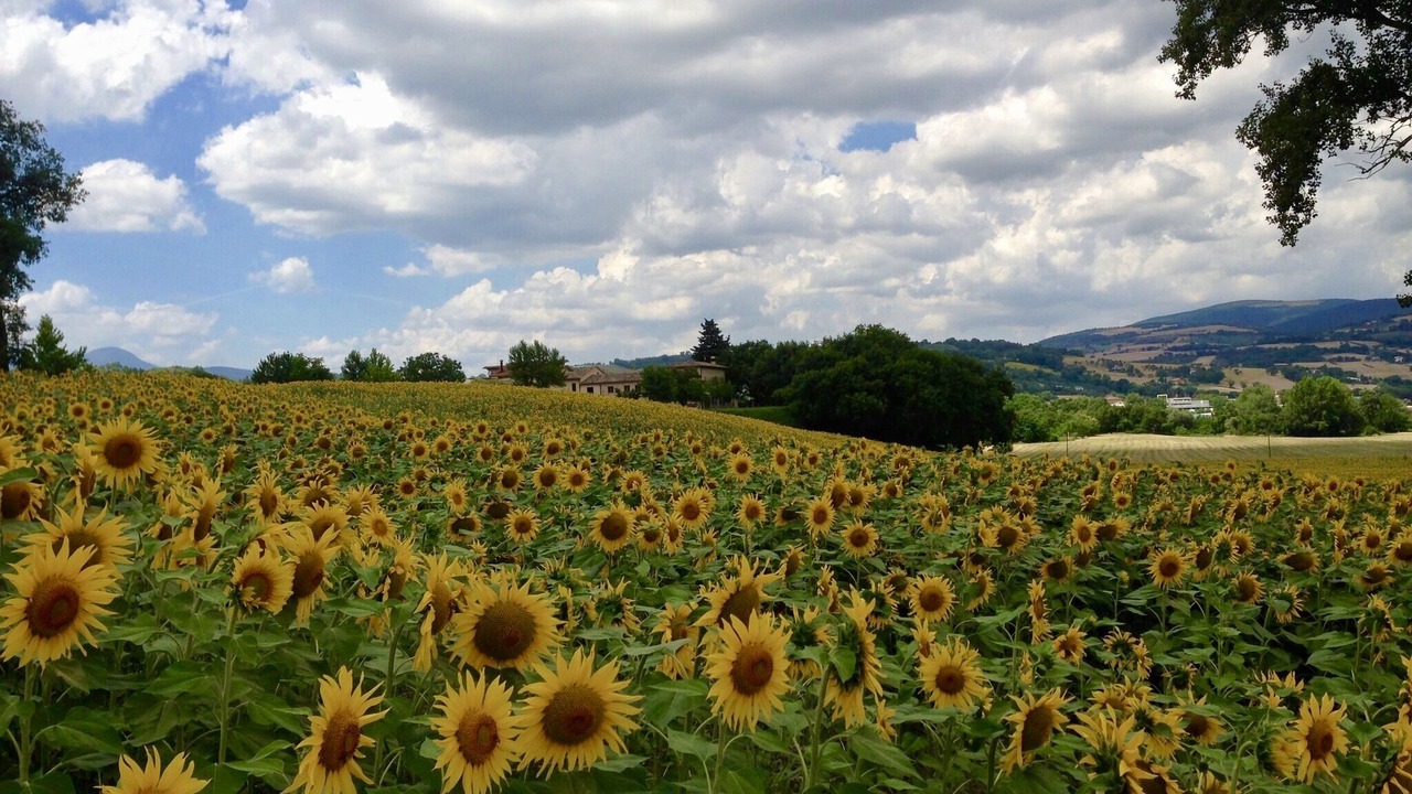 Photo of Outdoor in Colmurano