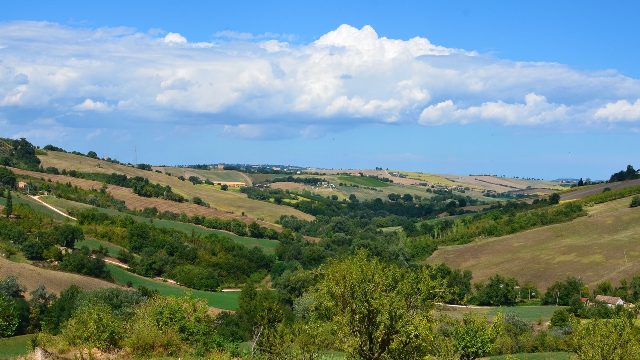 Photo of Others in Colmurano