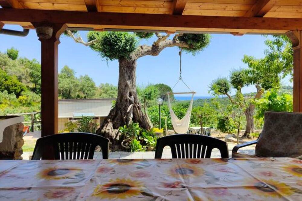 Photo of Kitchen in Casal Velino