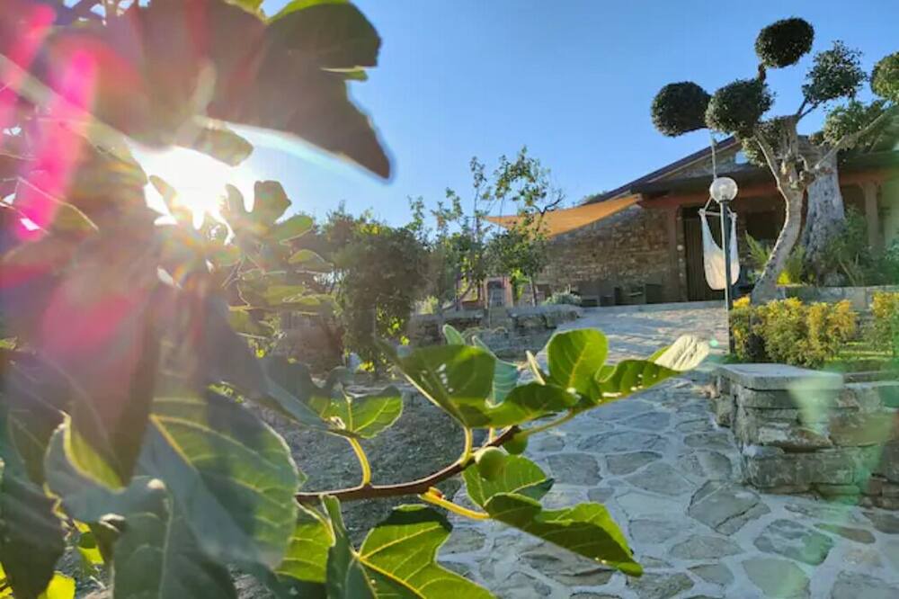 Photo of Outdoor in Casal Velino