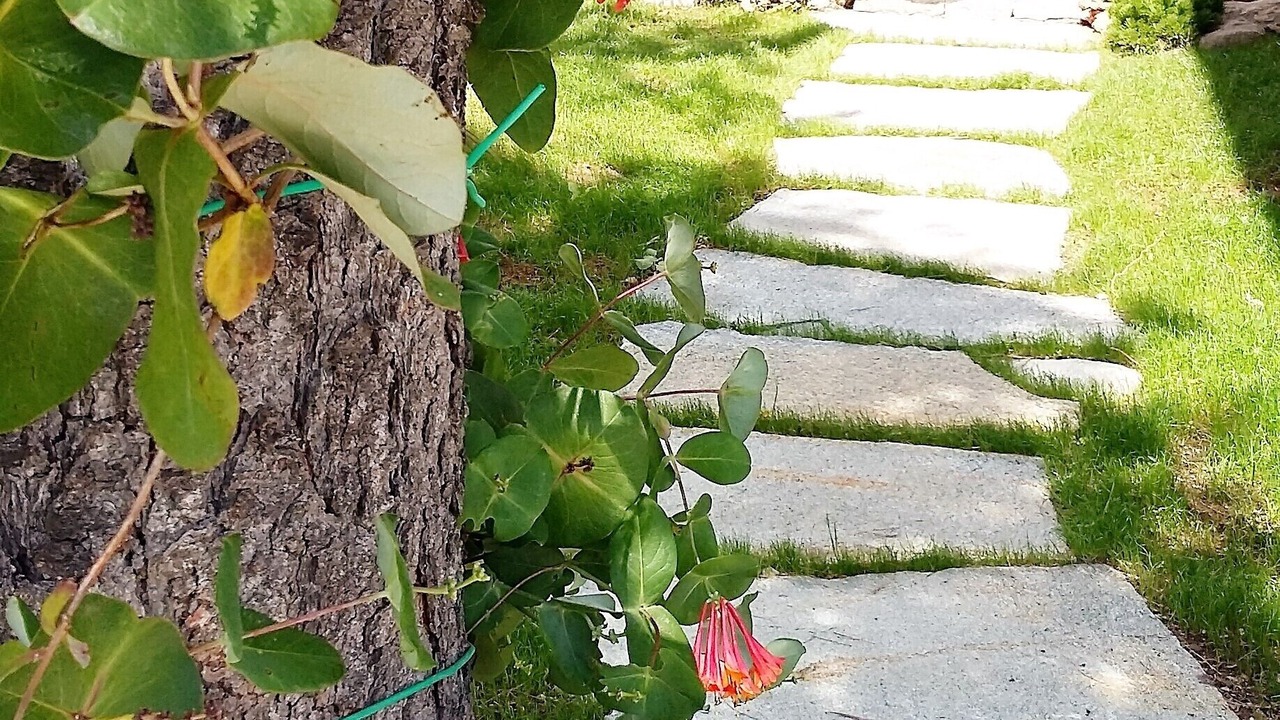Photo of Outdoor in Peio