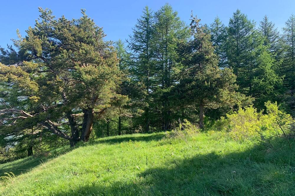 Photo of Outdoor in Oulx