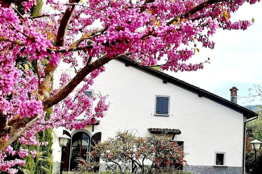 Photo of Outdoor in Savigno