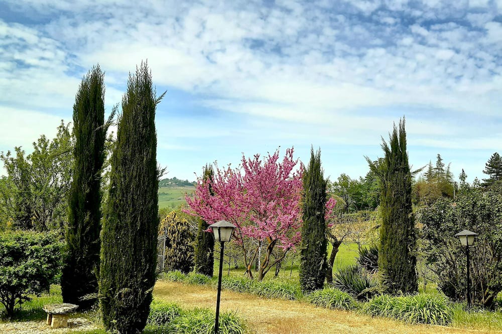 Photo of Outdoor in Savigno