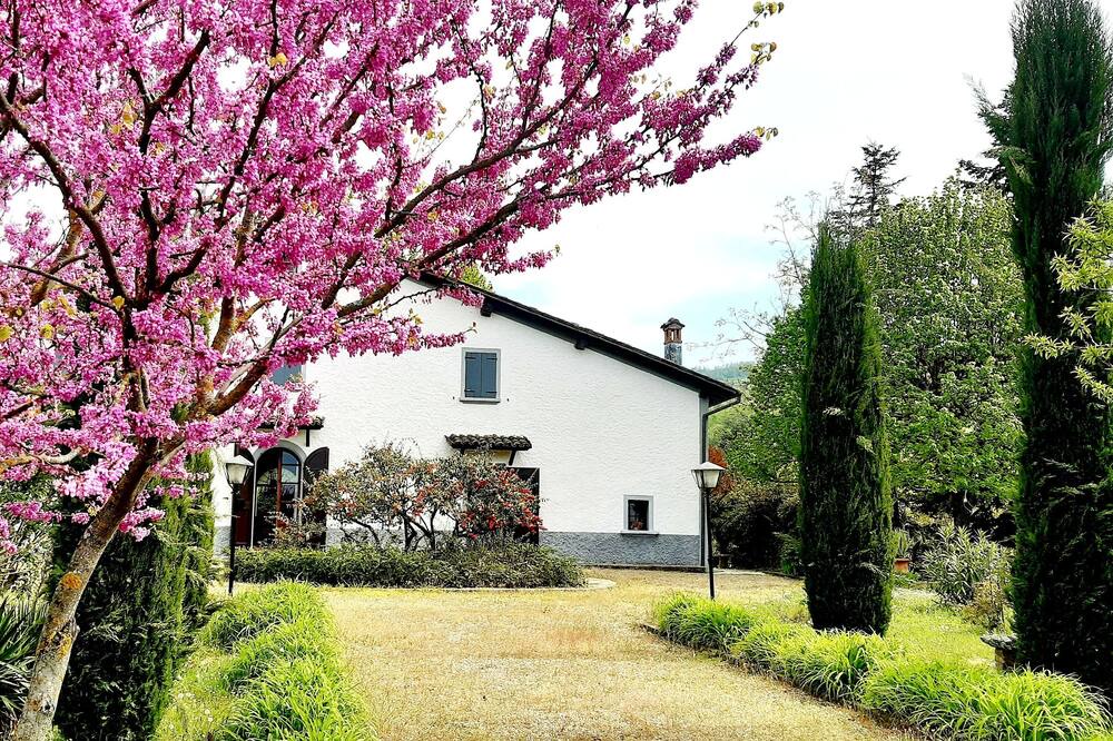 Photo of Outdoor in Savigno