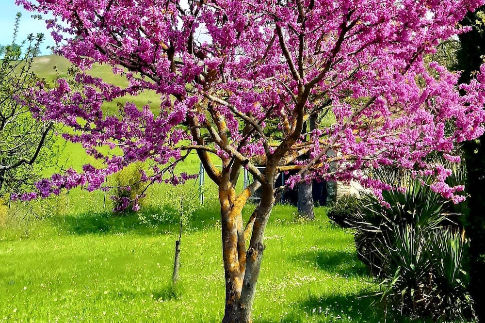 Photo of Outdoor in Savigno