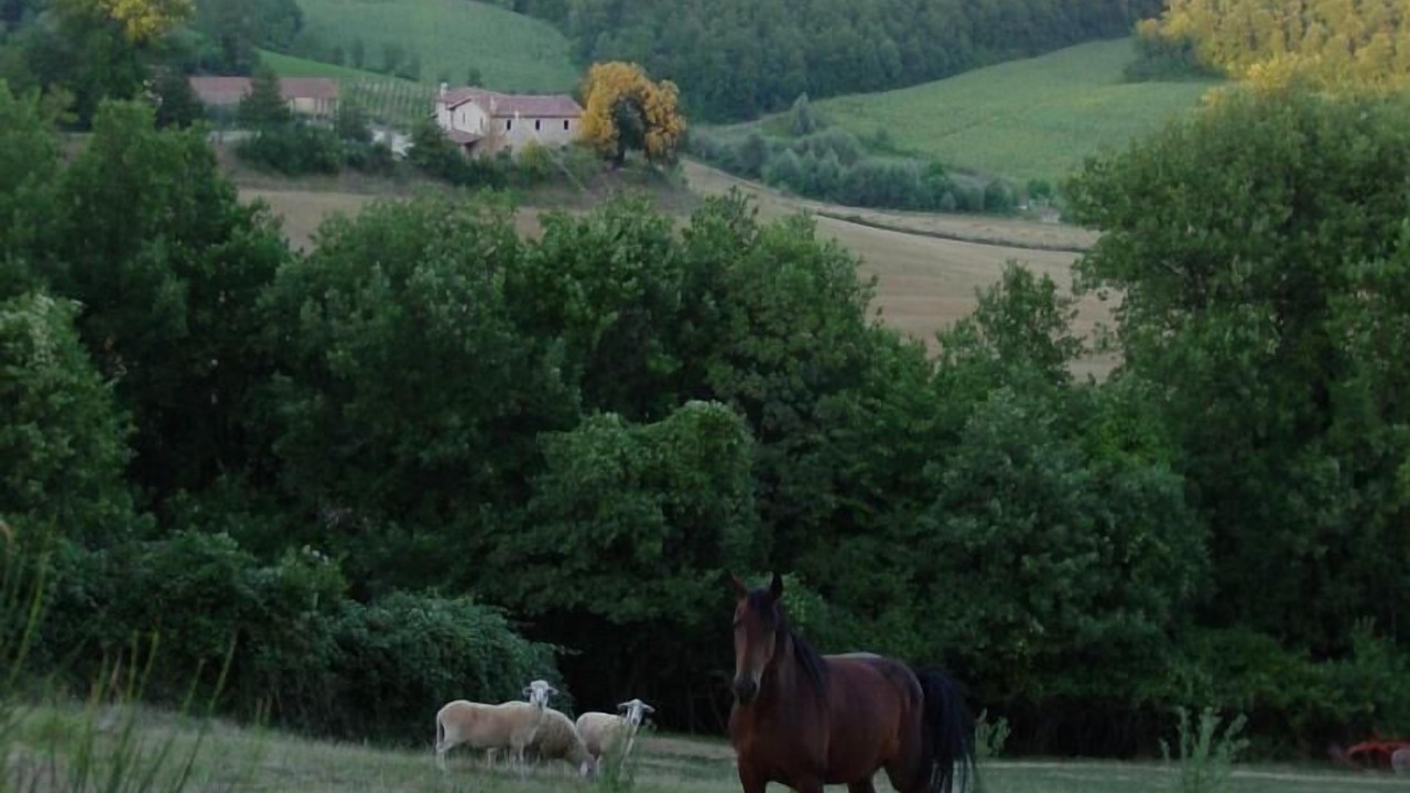 Photo of Others in Ramazzano