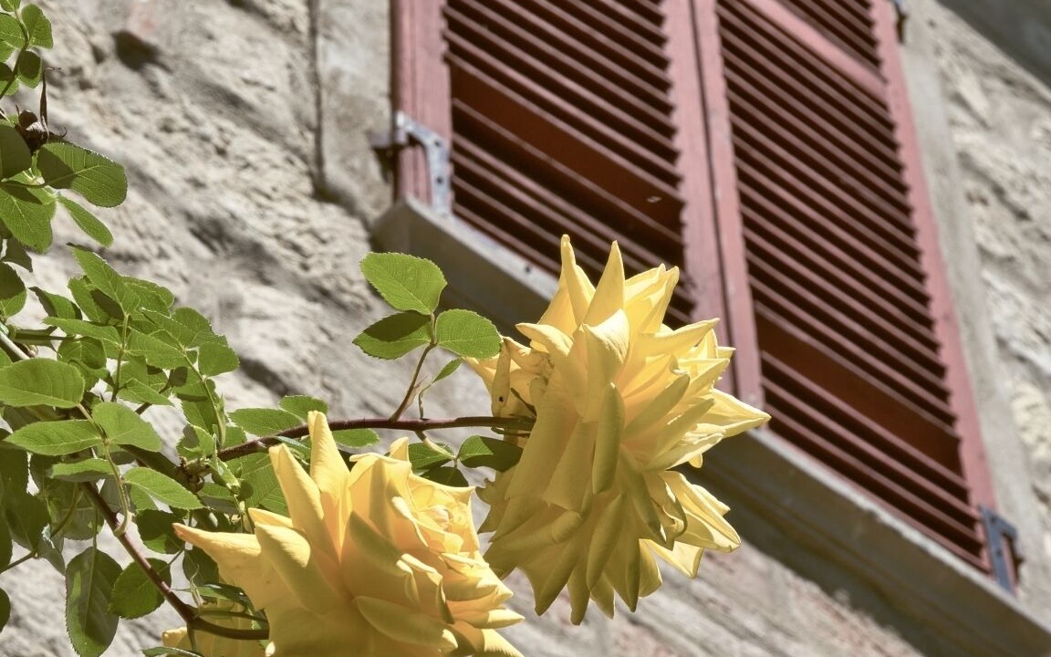 Photo of Outdoor in Vignale Monferrato
