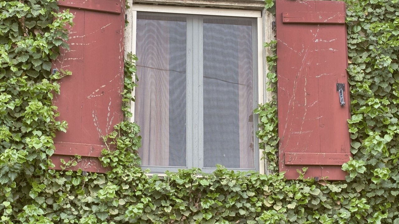 Photo of Outdoor in Vignale Monferrato