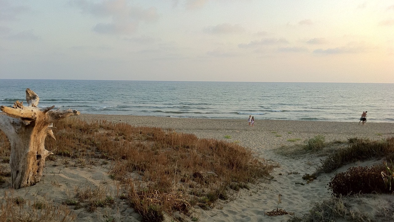 Photo of Others in Lido dei Pini