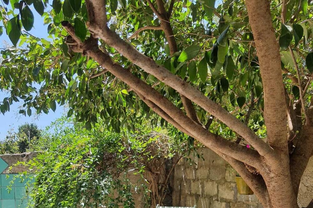 Photo of Outdoor in Soleminis
