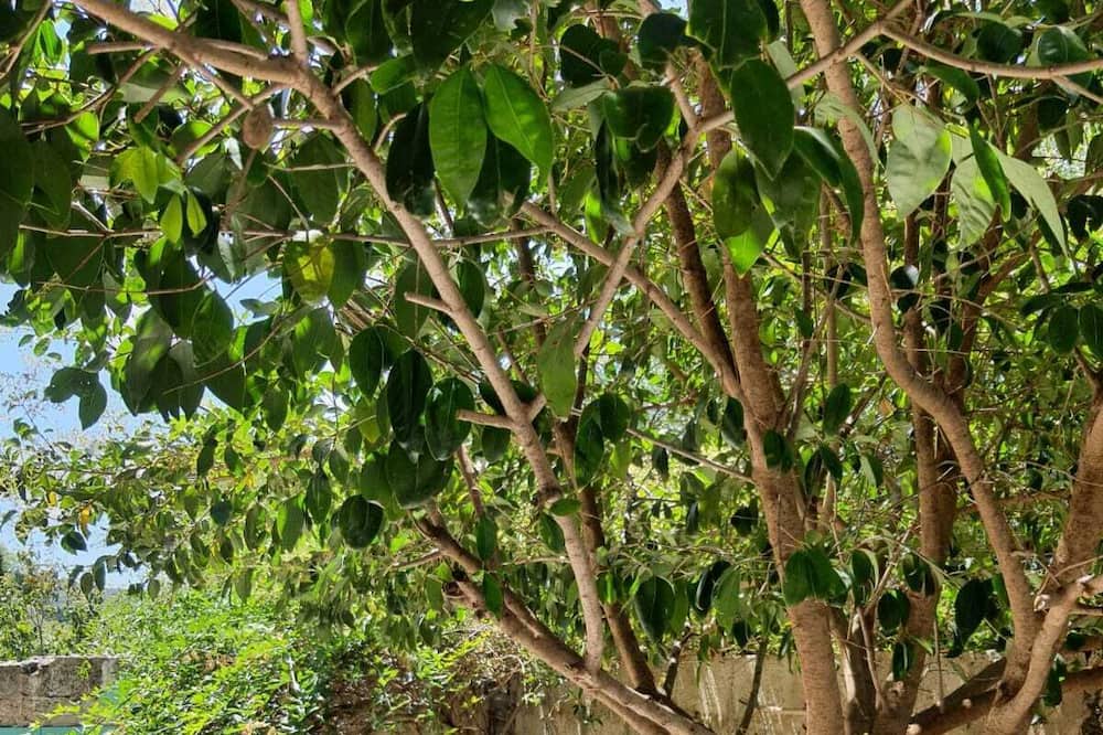 Photo of Outdoor in Soleminis