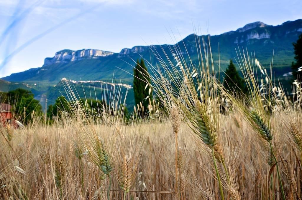 Photo of Outdoor in Sicignano degli Alburni