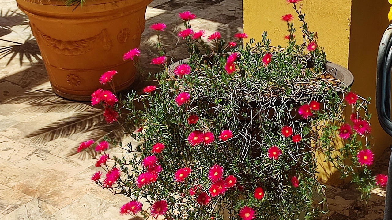 Photo of Outdoor in Sant'Eufemia Lamezia