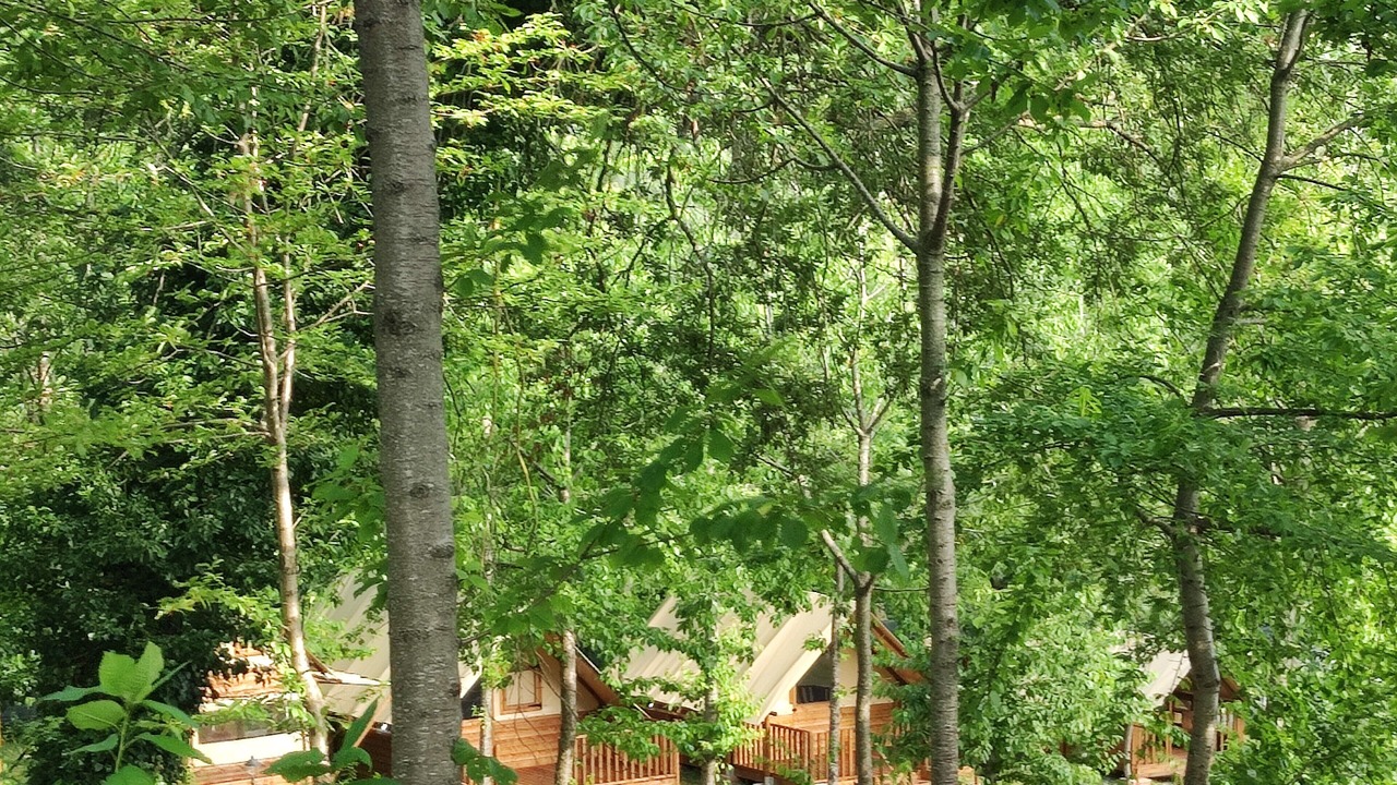 Photo of Patio Balcony in Force
