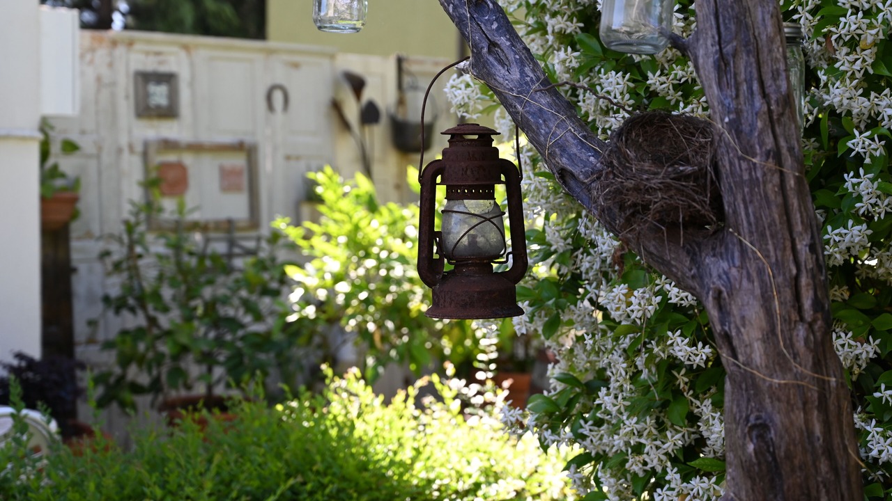 Photo of Outdoor in Cesena