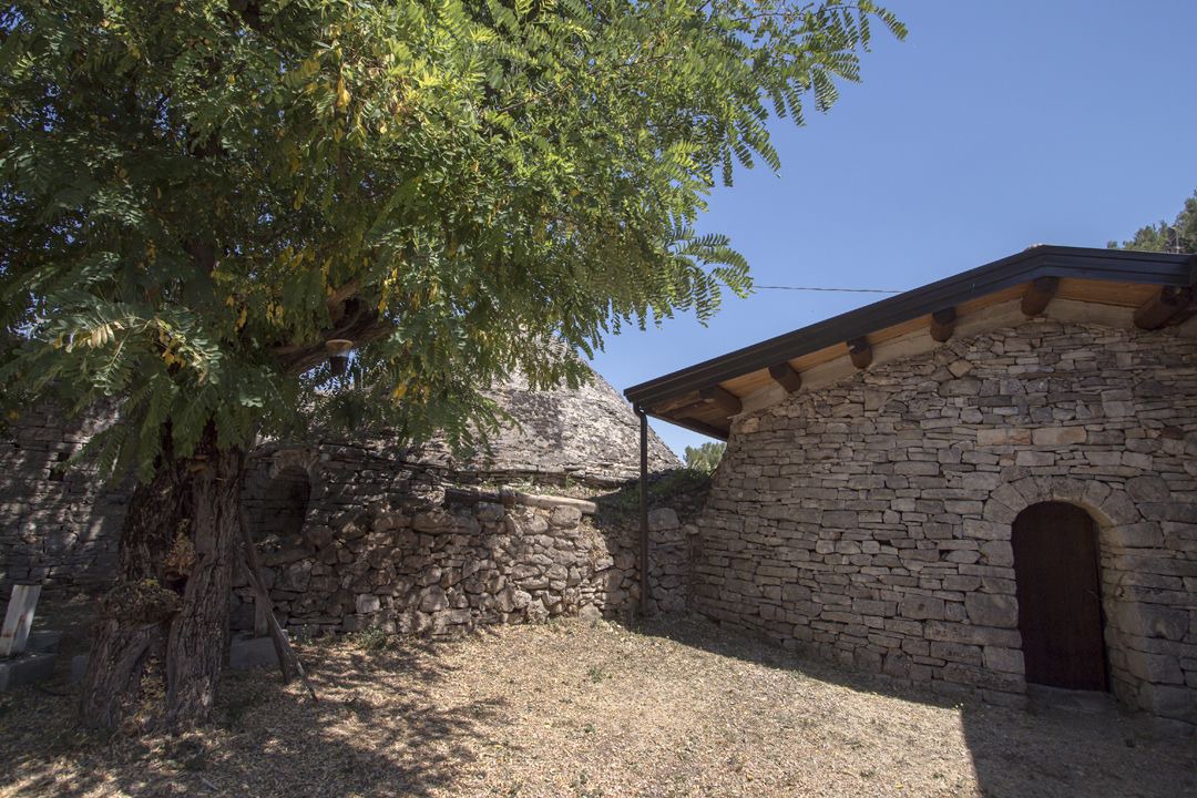 Photo of Outdoor in Montegrosso