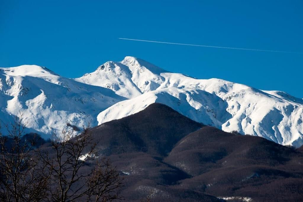 Photo of Others in Montefiorino