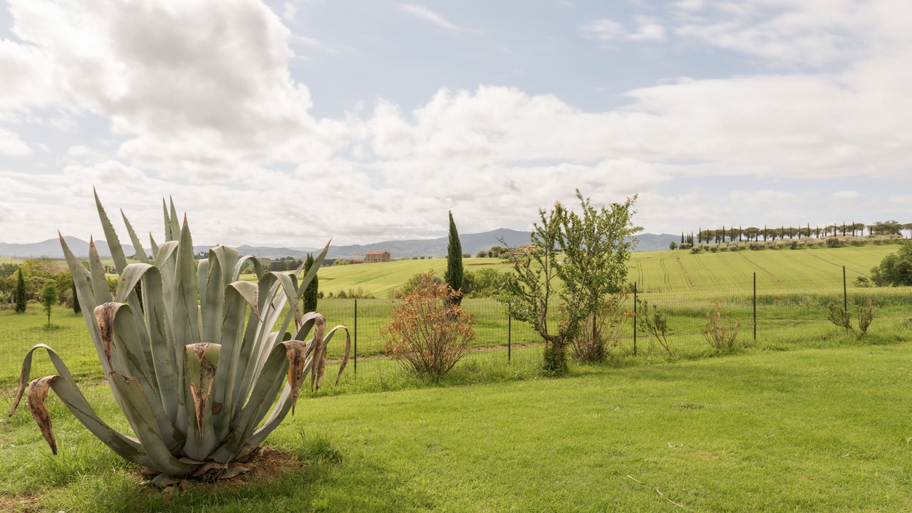 Photo of Outdoor in Castiglione del Lago