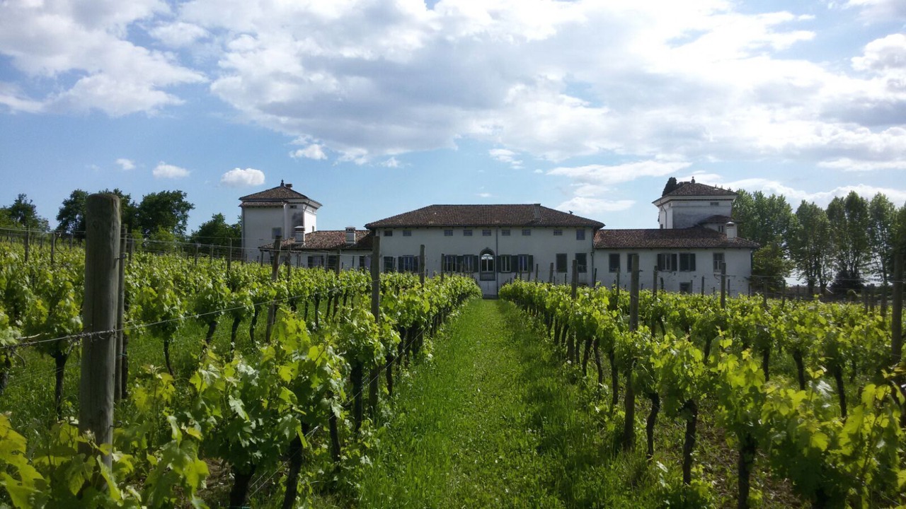 Photo of Outdoor in Buttrio