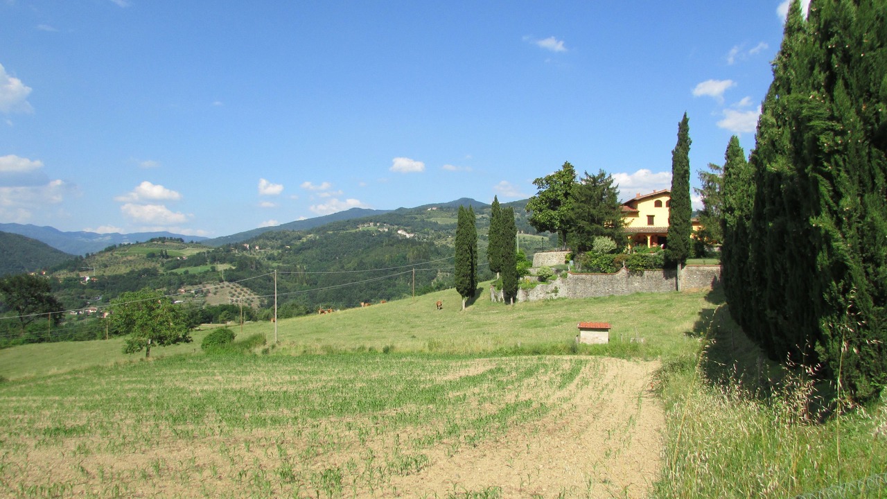 Photo of Others in Dicomano